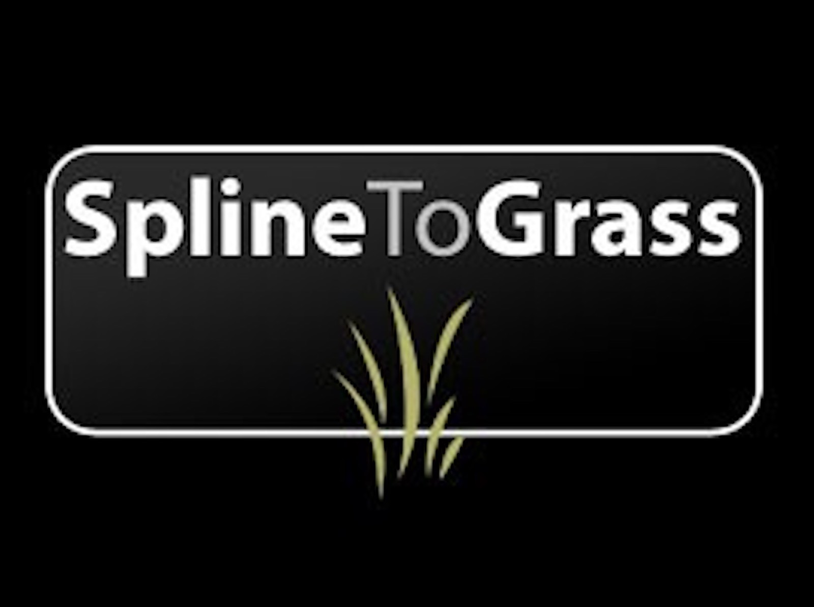Spline To Grass plugin