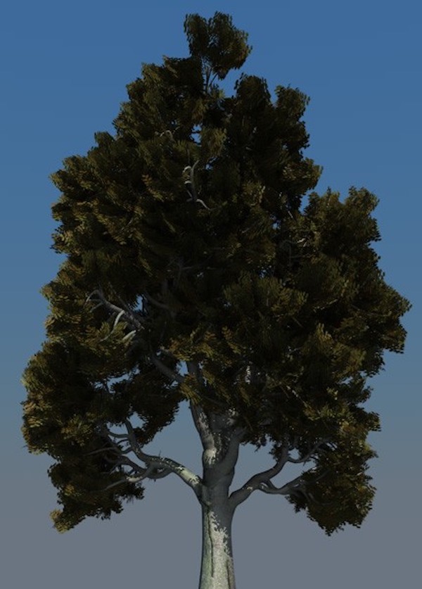 26