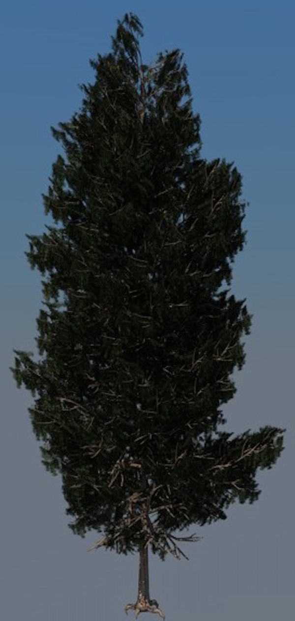 27
