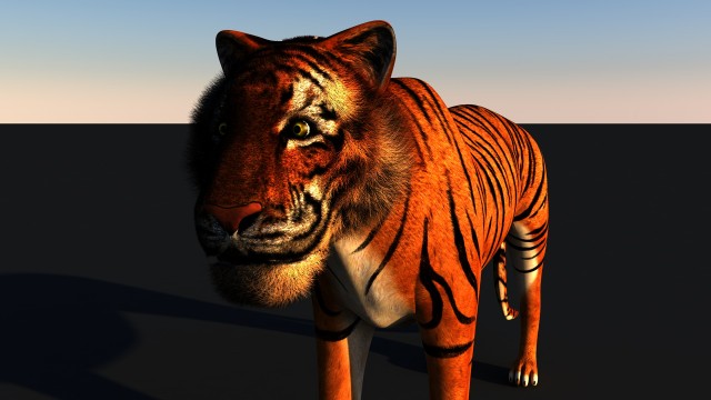 tigre7_0078.jpg