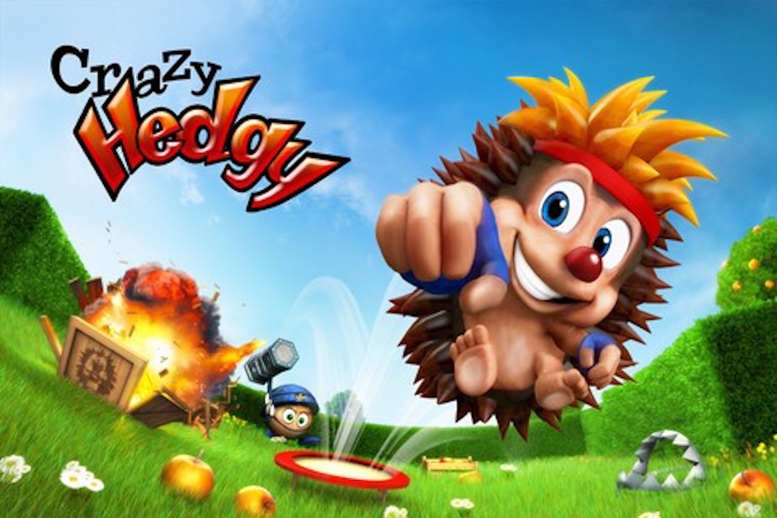 Crazy Hedgy