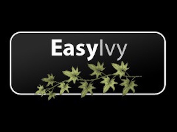 Easy Ivy plugin