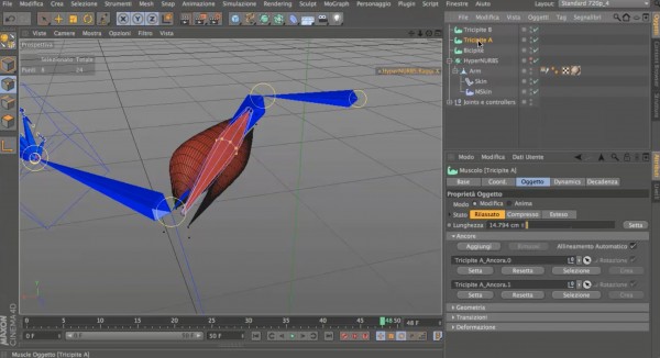 Tutorial: Sistema Muscolare