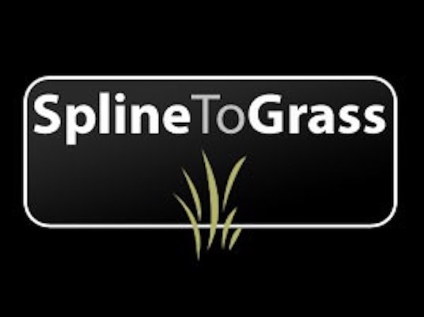 Spline To Grass plugin