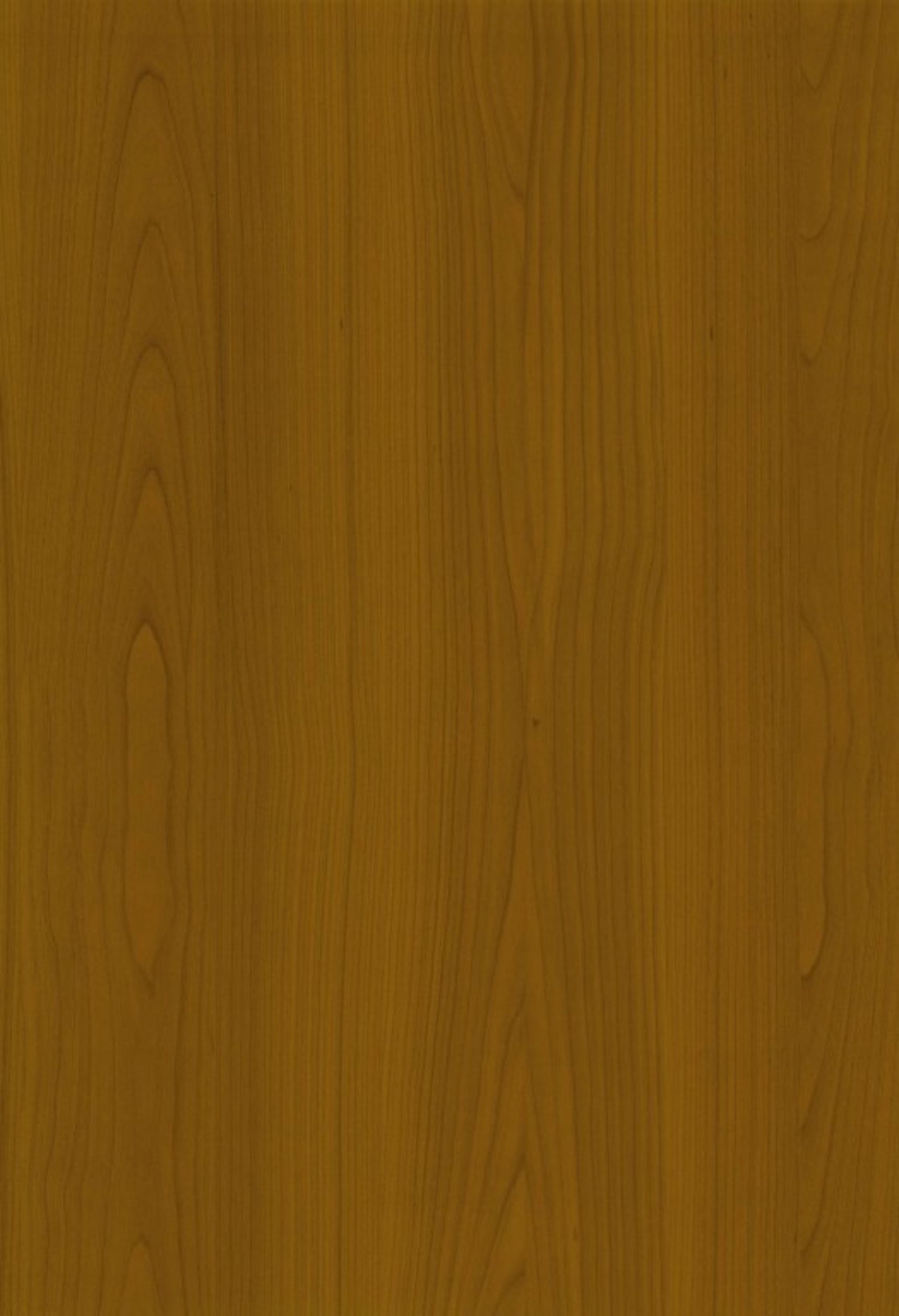 Legno 12