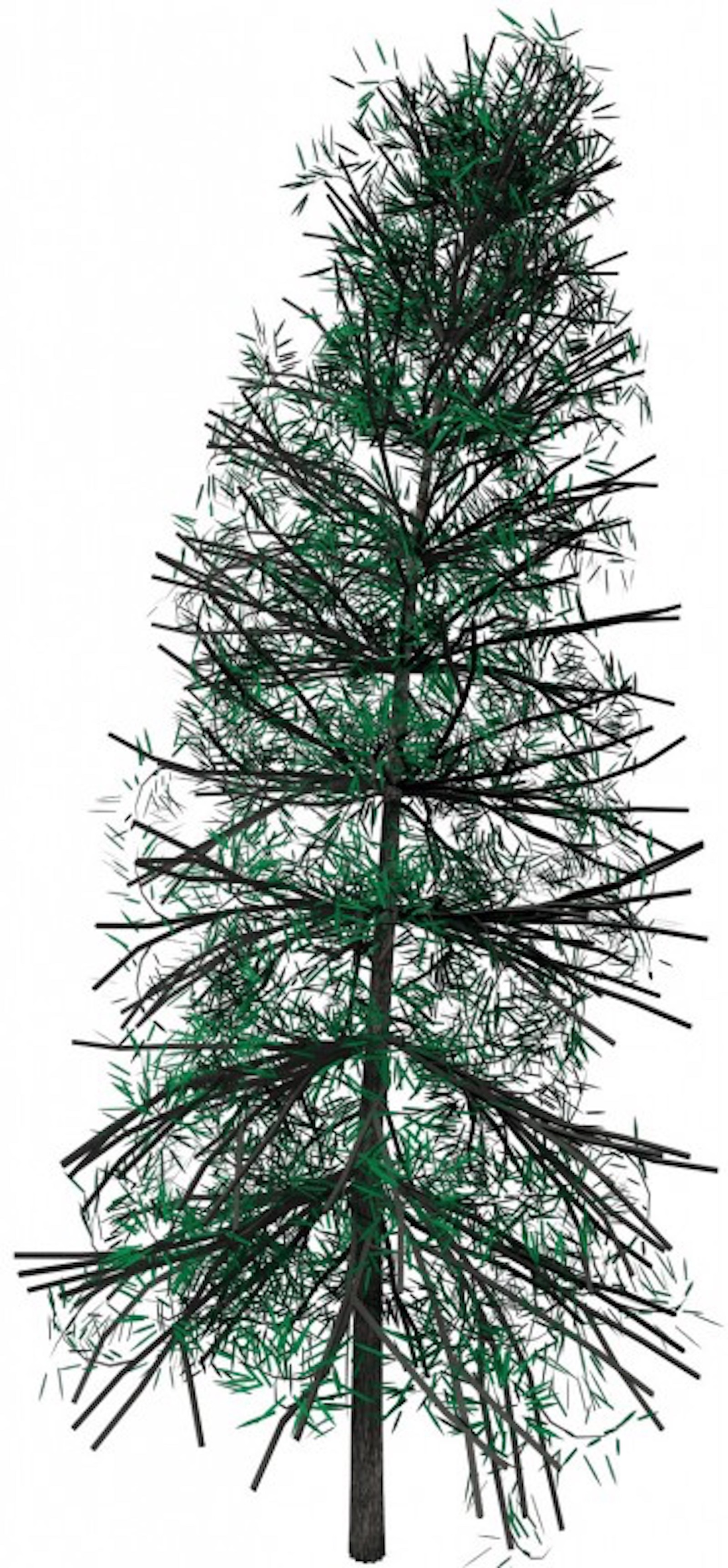 Albero+alpha 3