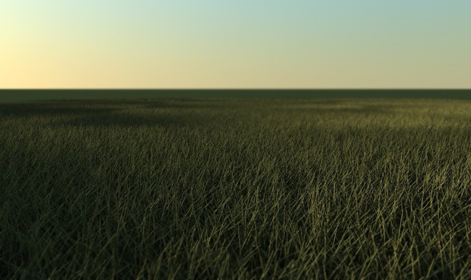 Erba 3D