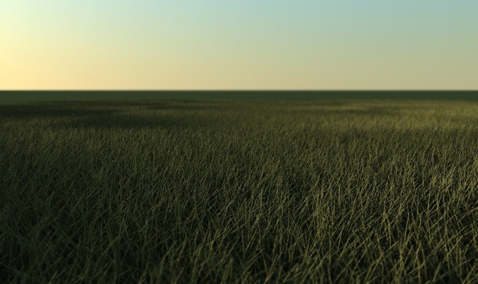 Grass 3D