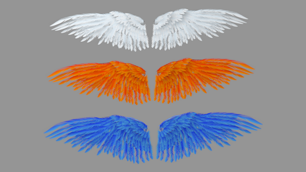 3d wings