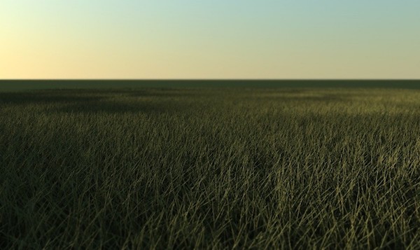 Grass 3D
