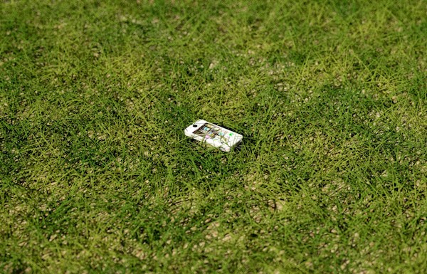 iphone nell'erba 