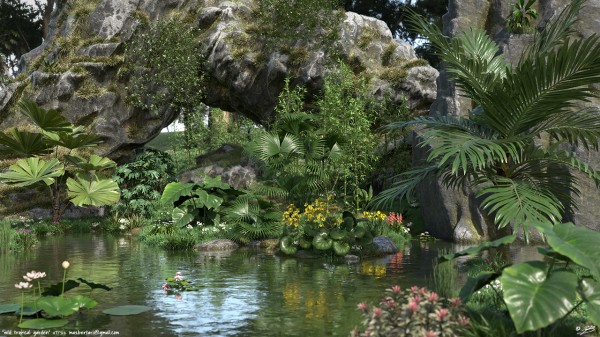 wild tropical garden