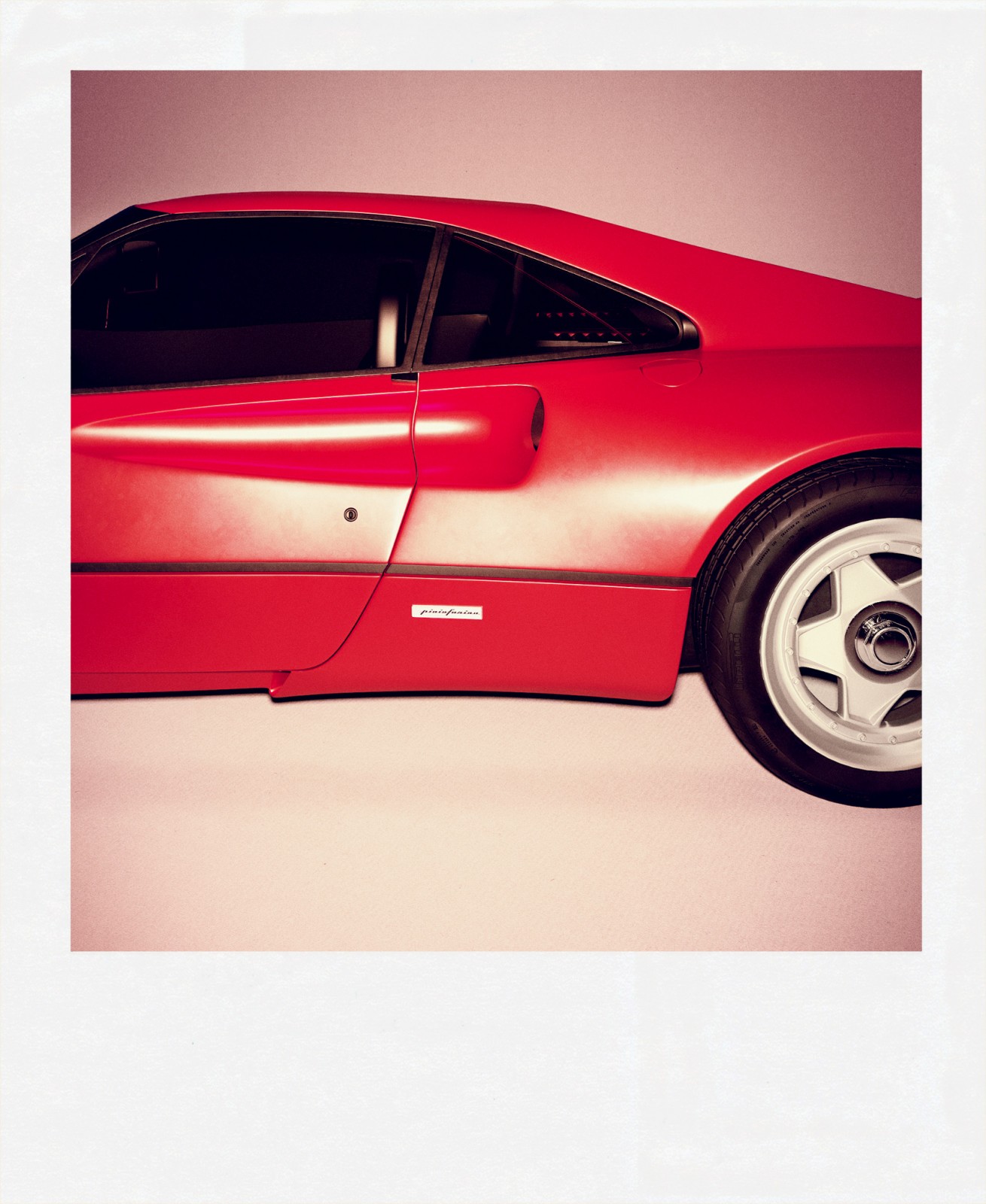 03 terza polaroid rid