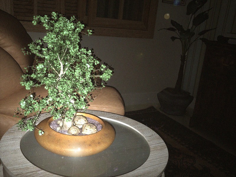 Bonsai Flash