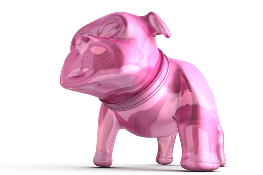 Bulldog gommoso