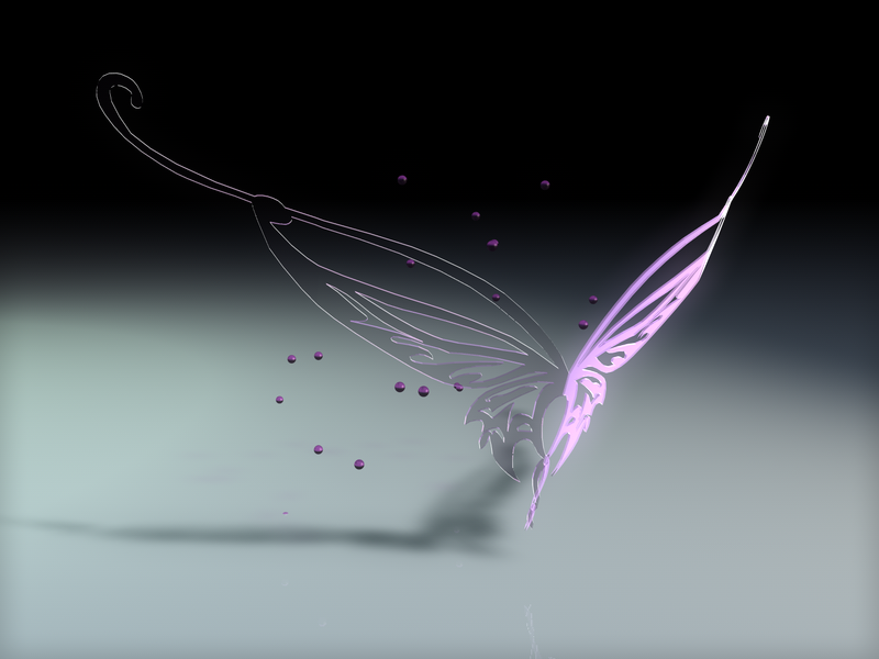 Butterfly 1