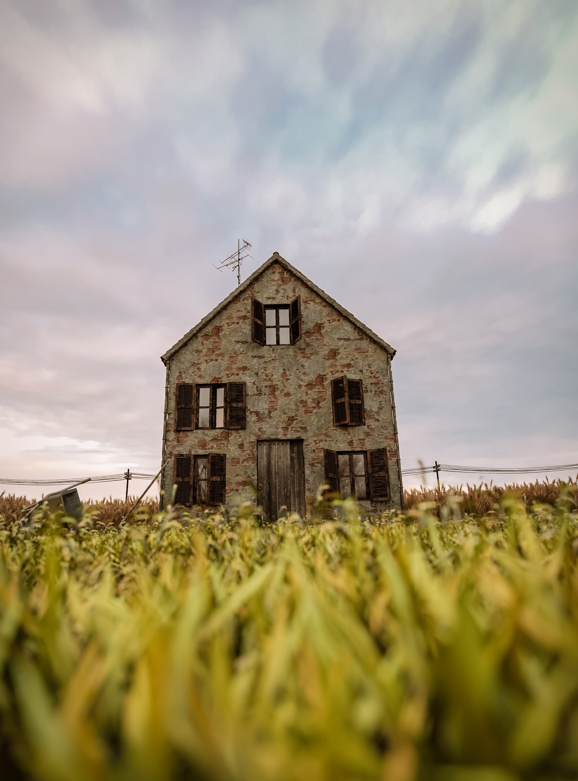 House in field Front color