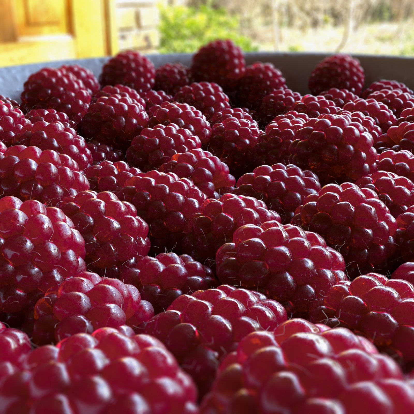 Raspberry