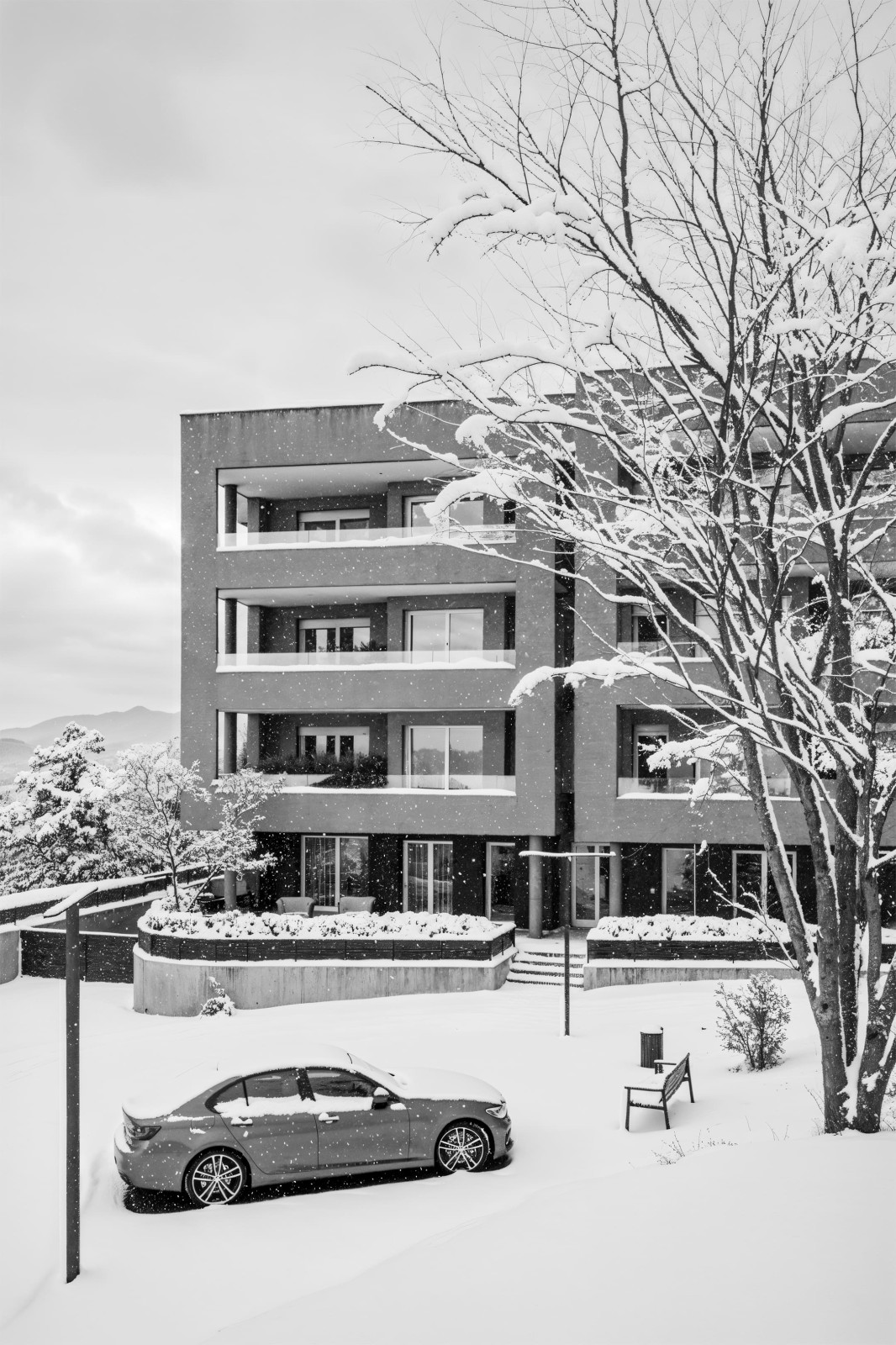 Vista 1 snow DEF BN