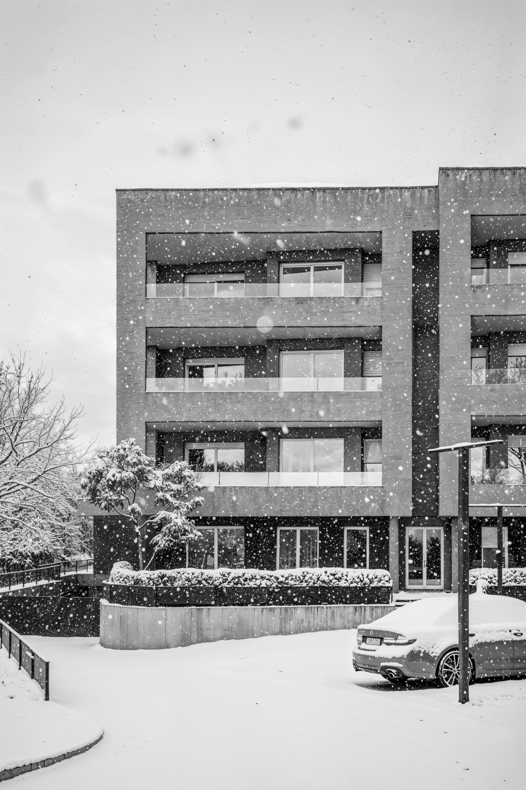 Vista 3 snow DEF BN