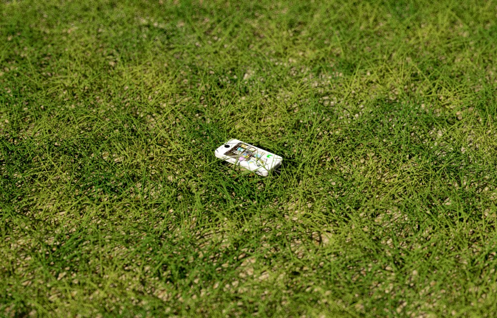 iphone nell'erba 