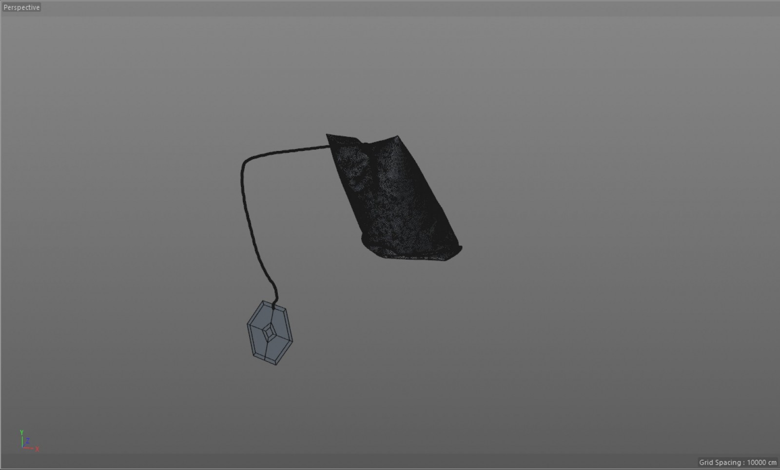 wip10