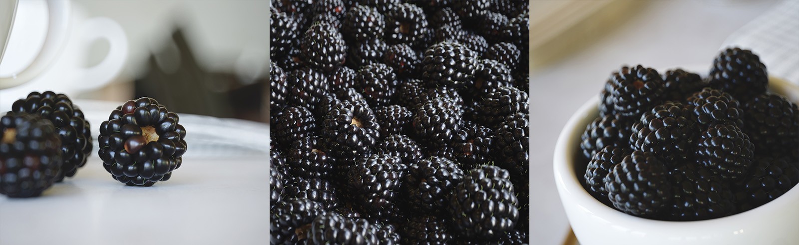 Black Berries - by Fabio Ciliberti