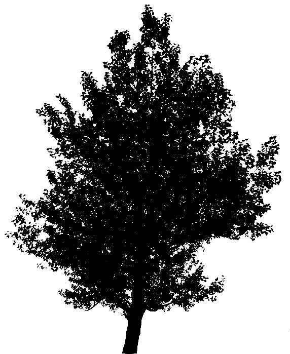 vyonyx_tree_075_alpha.jpg