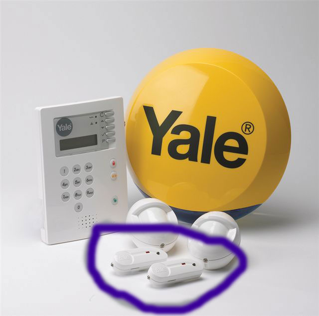 yale.jpg
