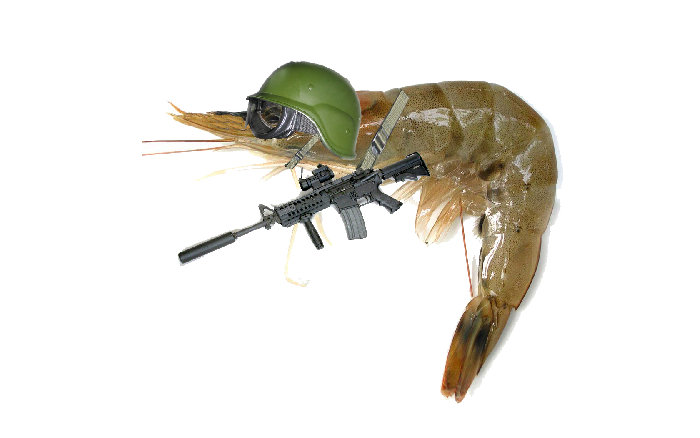 suxgambero.jpg
