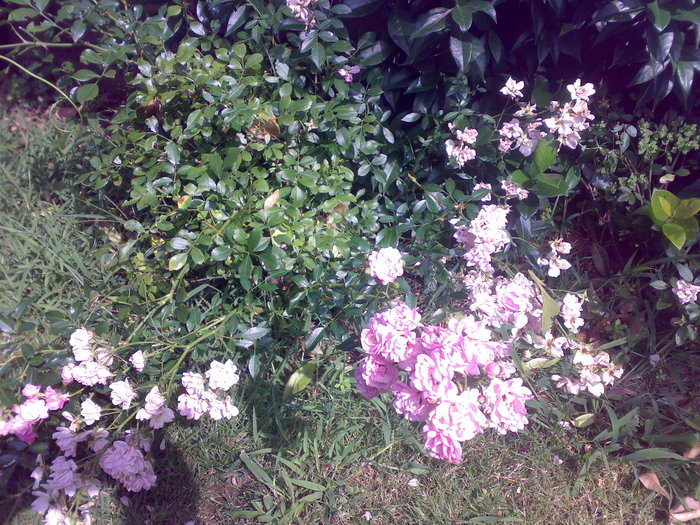 foto1.jpg