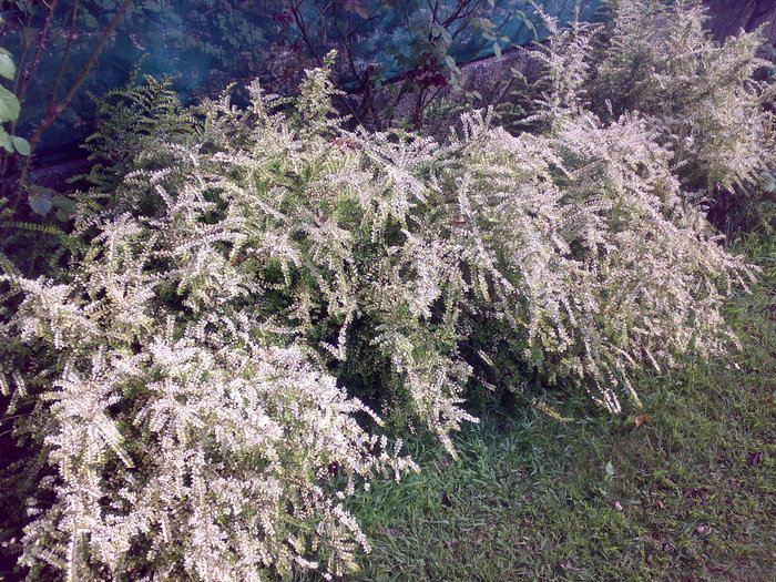 foto2.jpg