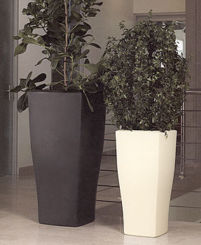 vaso.jpg