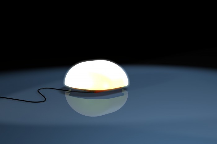 imm1.jpg