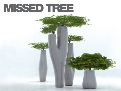 missedTree.jpg