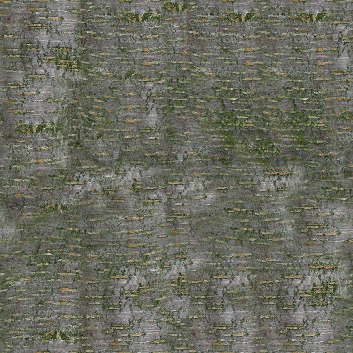 Arch31_007_bark.jpg