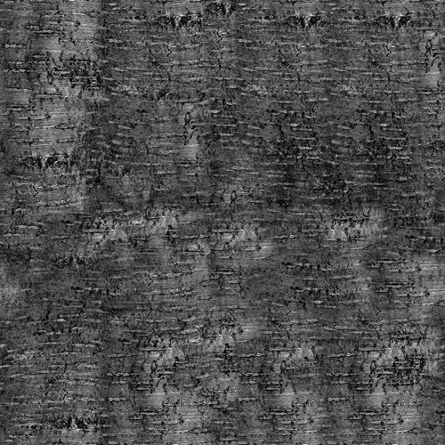 Arch31_007_bark_bump.jpg