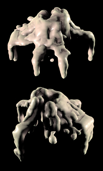 test_cera_particellare_1.jpg