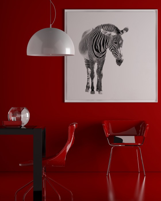 ZEBRA.jpg