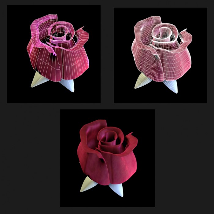 rosa_1.jpg