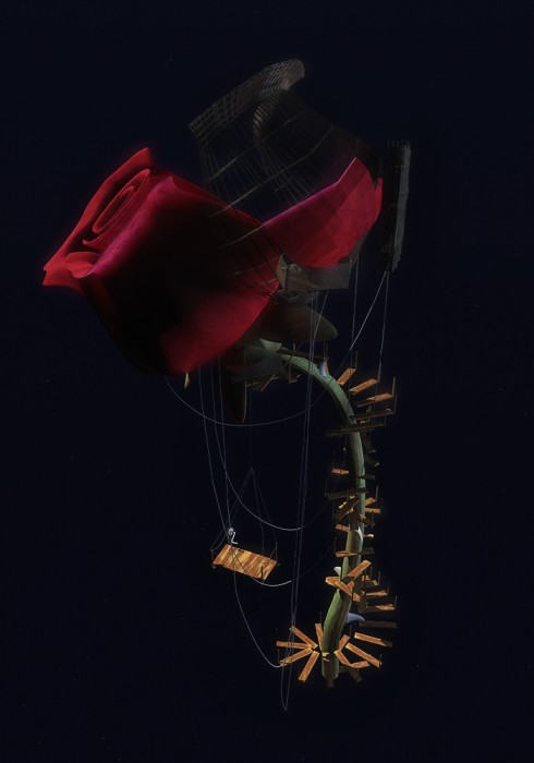 rosa_5.jpg