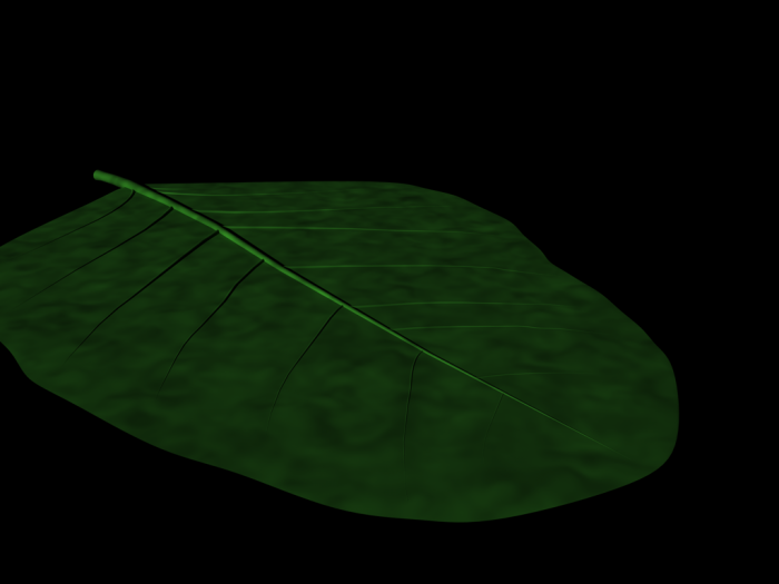 Nature_mod.png