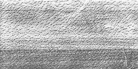 WoodFine0047_BUMP.jpg