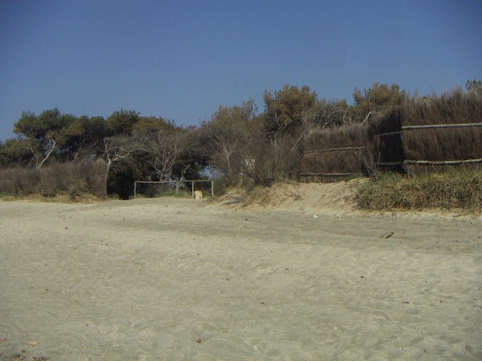 PICT0155a.JPG (360.89 KiB) Viewed 745 times PICT0155a.JPG