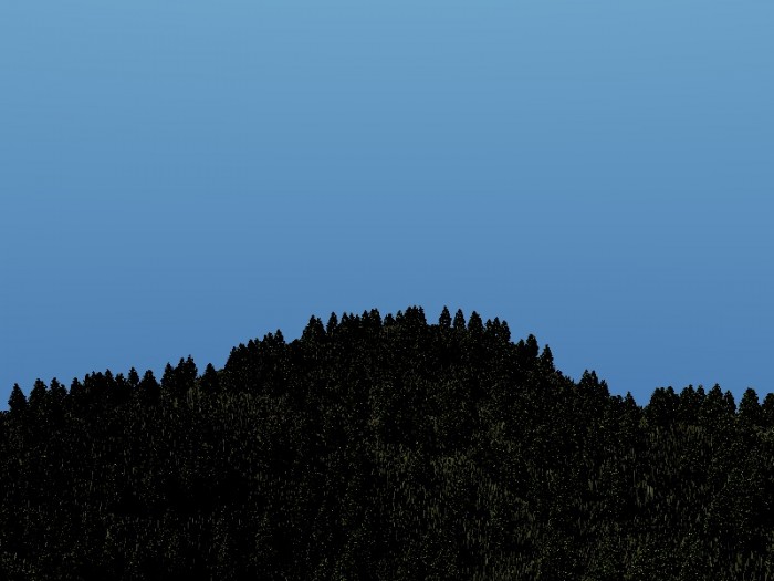 alberi clonati.jpg