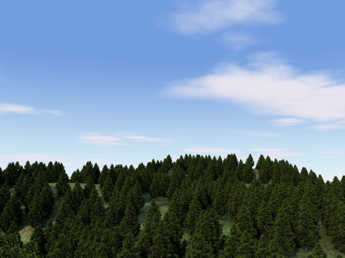 alberi clonati2.jpg