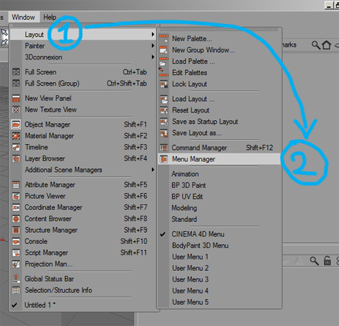 per accedere al menu manager
