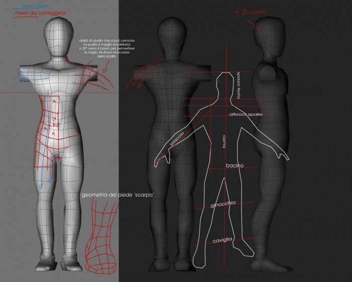 Mesh_anatomy.jpg