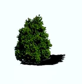 Immagine55.JPG