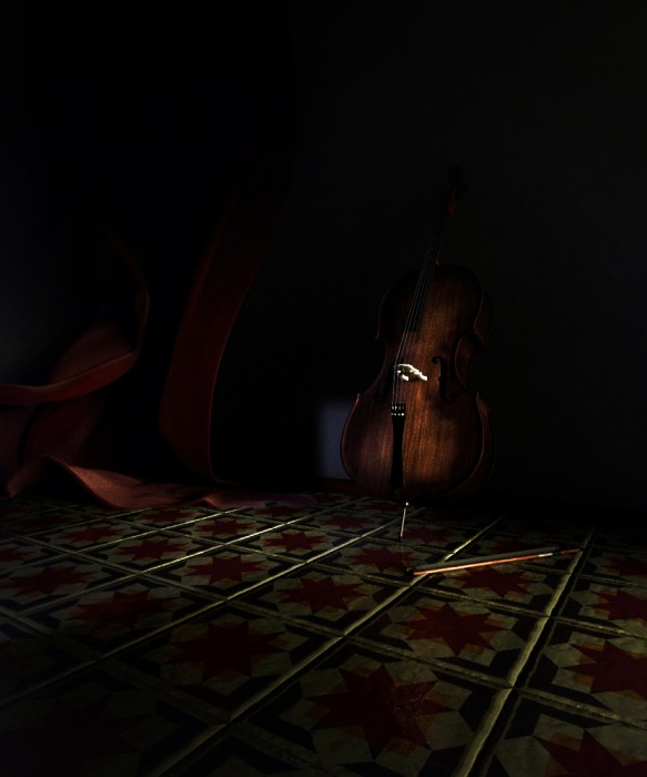 cello_8_T.jpg